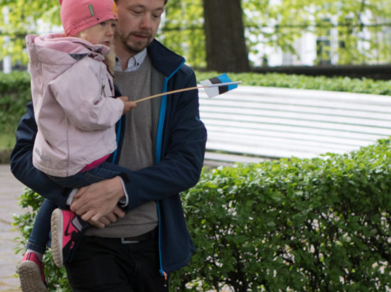 Eesti lipu päeva tähistamine 2017