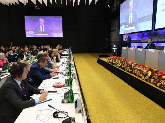 Parlamentidevaheline Euroopa Liidu stabiilsuse, majanduse koordineerimise ja juhtimise konverents (SECG)