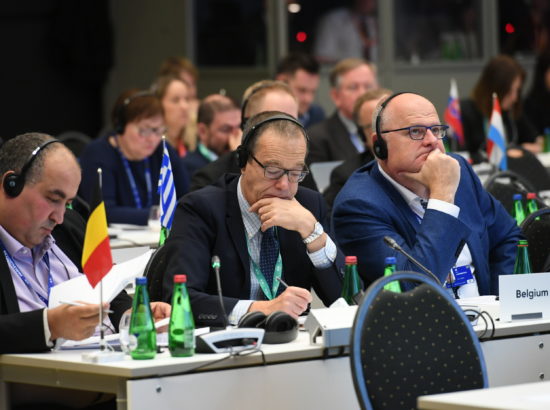 Parlamentidevaheline Euroopa Liidu stabiilsuse, majanduse koordineerimise ja juhtimise konverents (SECG)