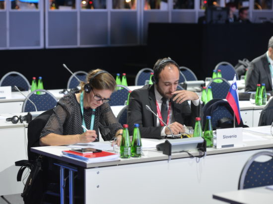 Rahvusparlamentide Euroopa Liidu asjade komisjonide täiskogu LVIII istung (COSAC)