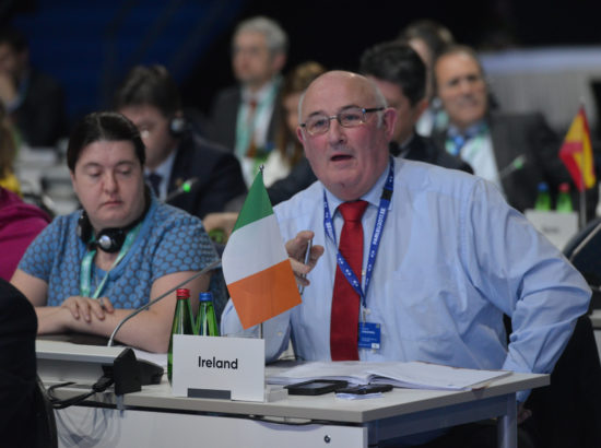 Rahvusparlamentide Euroopa Liidu asjade komisjonide täiskogu LVIII istung (COSAC)