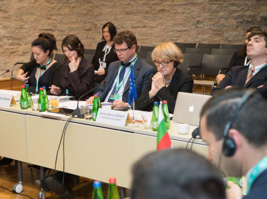 Rahvusparlamentide Euroopa Liidu asjade komisjonide täiskogu LVIII istung (COSAC)
