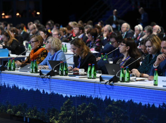Rahvusparlamentide Euroopa Liidu asjade komisjonide täiskogu LVIII istung (COSAC)