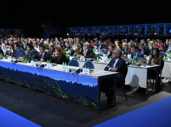 Rahvusparlamentide Euroopa Liidu asjade komisjonide täiskogu LVIII istung (COSAC)