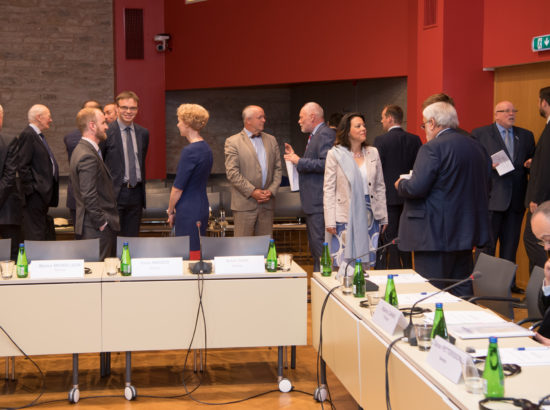 NATO Parlamentaarse Assamblee kaitsekomitee (DSCTC) istung