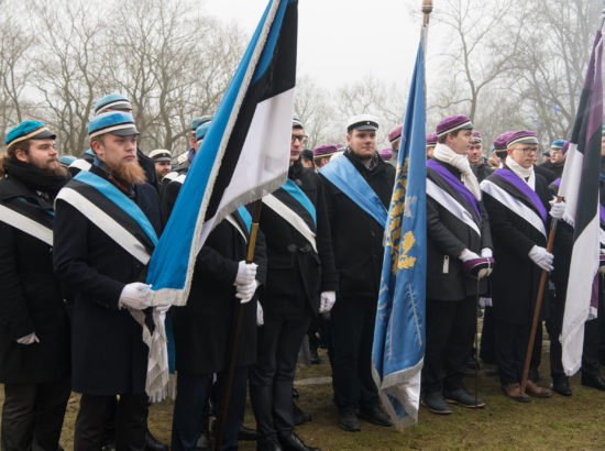 Eesti Vabariigi aastapäeva lipuheiskamise tseremoonia