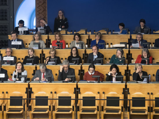 Täiskogu istung, välispoliitika arutelu olulise tähtsusega riikliku küsimusena
