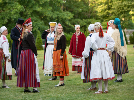 XXVII laulu- ja XX tantsupeo tuli jõudis Toompeale Kuberneri aeda ning viidi Pika Hermanni torni ööbima