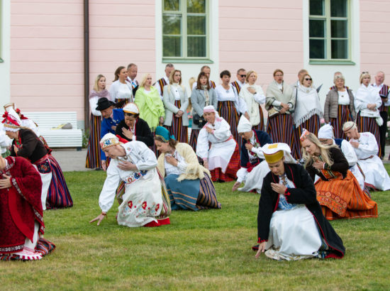 XXVII laulu- ja XX tantsupeo tuli jõudis Toompeale Kuberneri aeda ning viidi Pika Hermanni torni ööbima