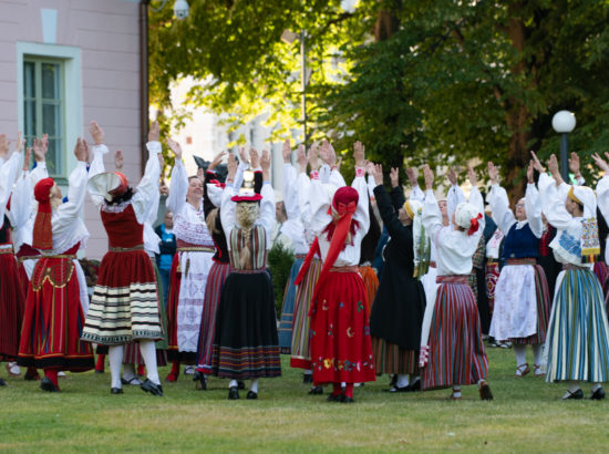 XXVII laulu- ja XX tantsupeo tuli jõudis Toompeale Kuberneri aeda ning viidi Pika Hermanni torni ööbima