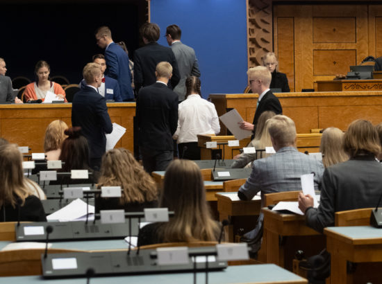 Eesti Mudel-Euroopa Parlamendi istung