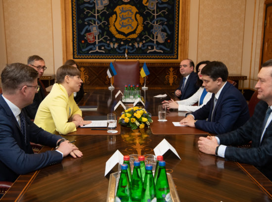 Ukraina Ülemraada esimees Dmõtro Razumkov ja president Kersti Kaljulaid