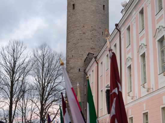 Eesti Vabariigi 102. aastapäev