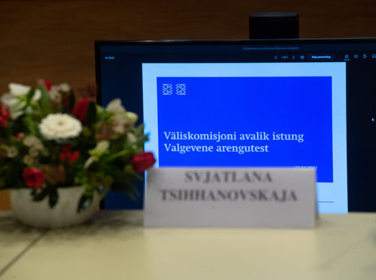 Riigikogu väliskomisjoni esimees Enn Eesmaa ja Valgevene opositsiooni liider Svjatlana Tsihhanovskaja