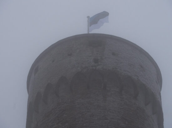 Eesti Vabariigi 103. aastapäeva tähistamine. Pärgade asetamine.