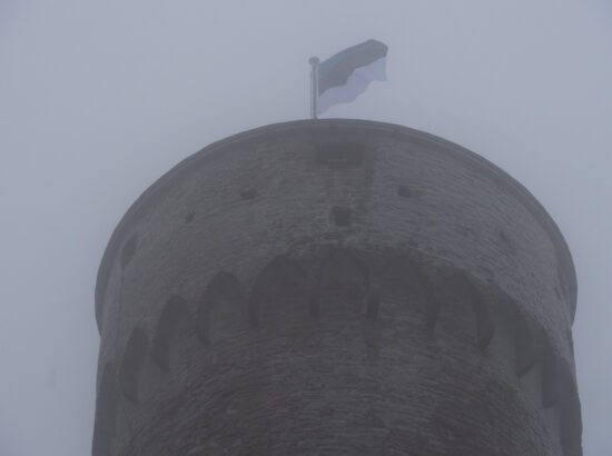 Eesti Vabariigi 103. aastapäeva lipuheiskamise tseremoonia. Eesti Evangeelse Luterliku Kiriku peapiiskopi Urmas Viilma õnnistussõnad.