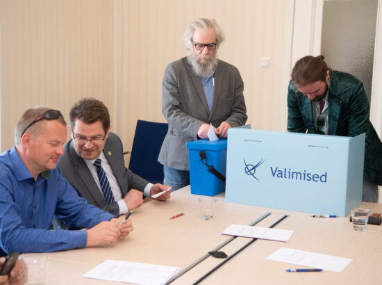 Väliskomisjoni esimehe ja aseesimehe erakorralised valimised, 3. juuni 2021