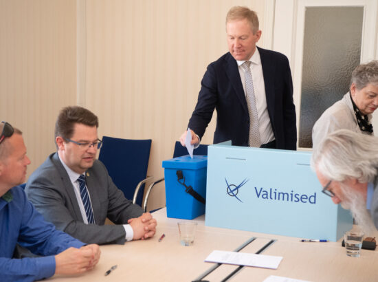 Väliskomisjoni esimehe ja aseesimehe erakorralised valimised, 3. juuni 2021