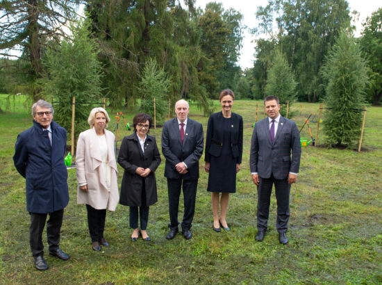 Riigikogu esimees Jüri Ratas osales iseseisvuse taastamise aastapäeva tähistamiseks puude istutamisel Kadriorus