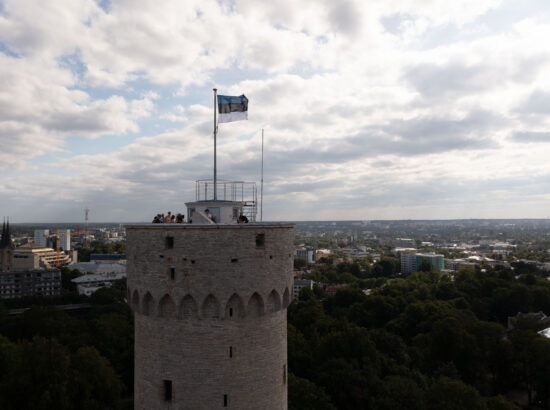 Külalised Pika Hermanni tornis