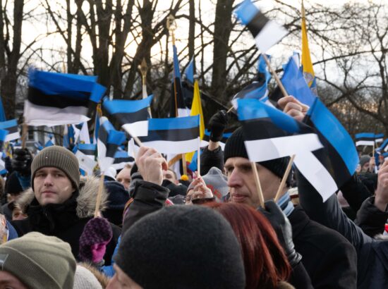 Pidulik riigilipu heiskamise tseremoonia Toompeal Kuberneri aias.