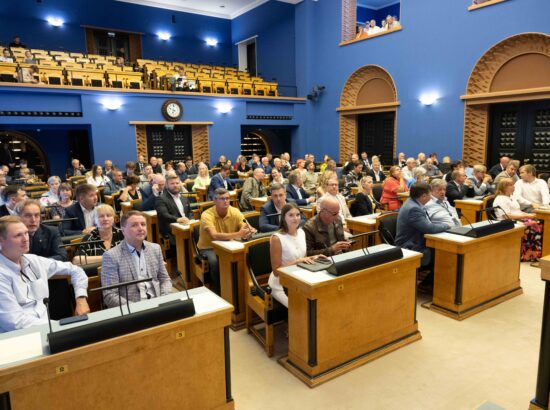 Riigikogu aseesimeeste erakorralised valimised