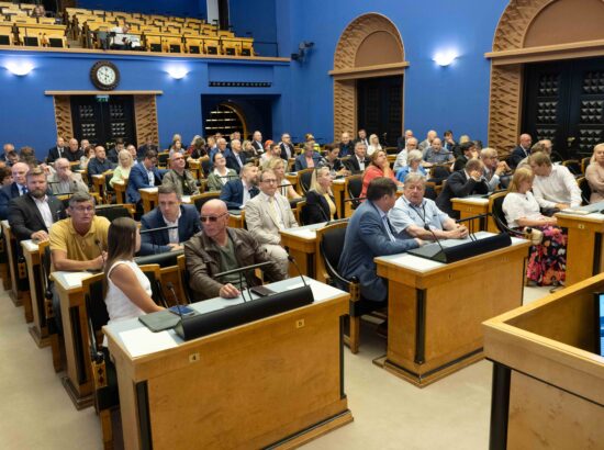 Riigikogu aseesimeeste erakorralised valimised