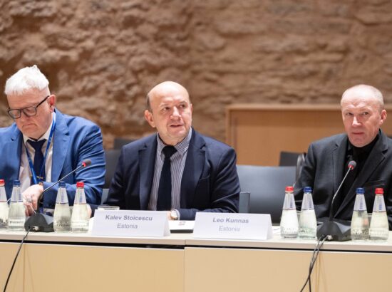 Põhja- ja Läänemeremaade parlamentide kaitsekomisjonide juhtide julgeoleku ja riigikaitse foorum.