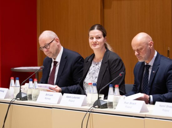 Põhja- ja Läänemeremaade parlamentide kaitsekomisjonide juhtide julgeoleku ja riigikaitse foorum.