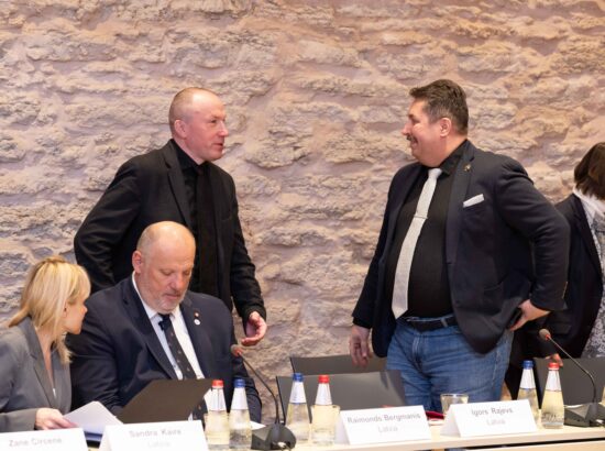 Põhja- ja Läänemeremaade parlamentide kaitsekomisjonide juhtide julgeoleku ja riigikaitse foorum.