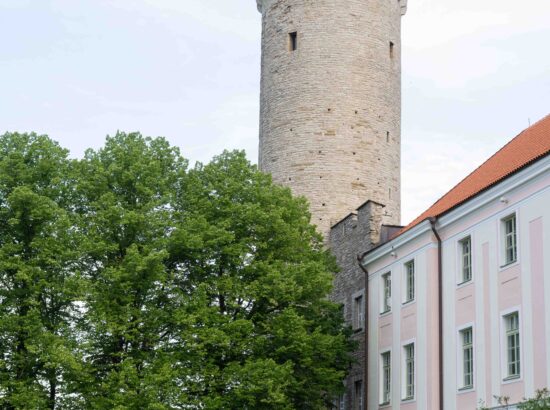 XXVIII laulu- ja XXI tantsupeole „Iseoma“ pühendatud riigilipu heiskamise tseremoonia Kuberneri aias
