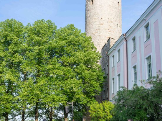 XXVIII laulu- ja XXI tantsupeole „Iseoma“ pühendatud riigilipu heiskamise tseremoonia Kuberneri aias