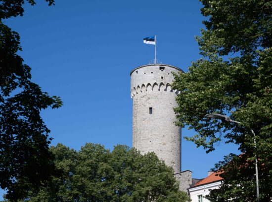 Mälestustseremoonia 20. augusti kivi juures 20.08.2025