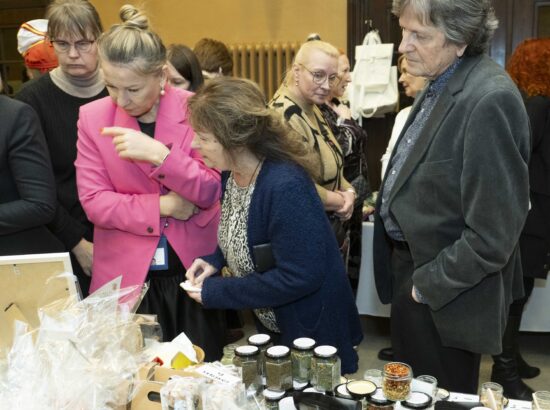 Hiiumaa saatkonna avamine Riigikogus