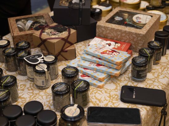 Hiiumaa saatkonna avamine Riigikogus