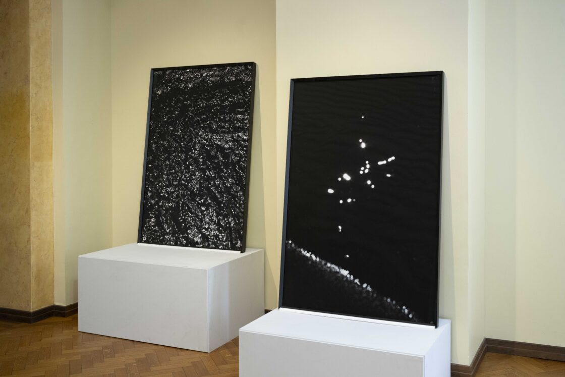 Toompea lossi kunstisaalis on alates 21. jaanuarist avatud Tanja Muravskaja fotonäitus „Aiad“.