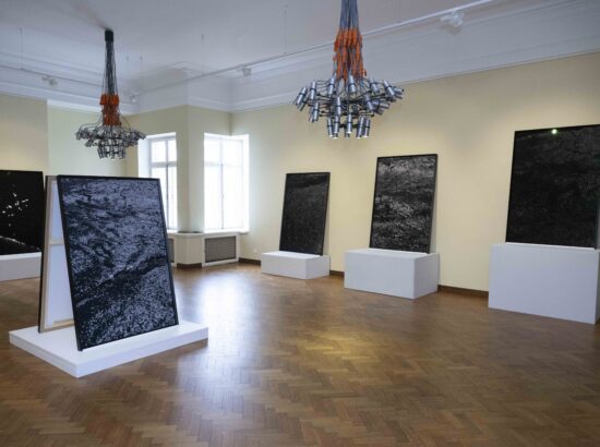 Toompea lossi kunstisaalis on alates 21. jaanuarist avatud Tanja Muravskaja fotonäitus „Aiad“.