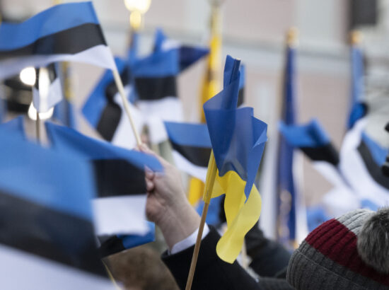 Eesti Vabariigi 108. aastapäeva tähistamine ja pidulik lipuheiskamistseremoonia Toompeal.