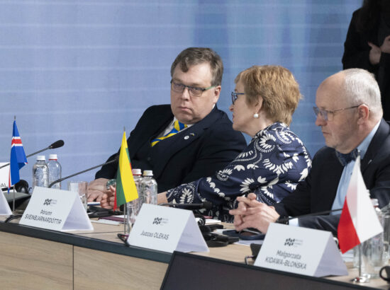 Butša veresauna mälestusüritus ja tippkohtumine Ukrainas