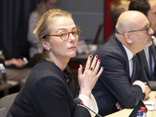 NATO Parlamentaarse Assamblee julgeolekuga seotud alamkomiteede liikmete visiit