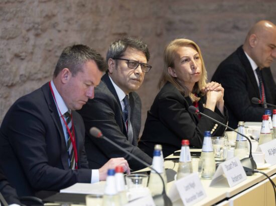 NATO Parlamentaarse Assamblee julgeolekuga seotud alamkomiteede liikmete visiit