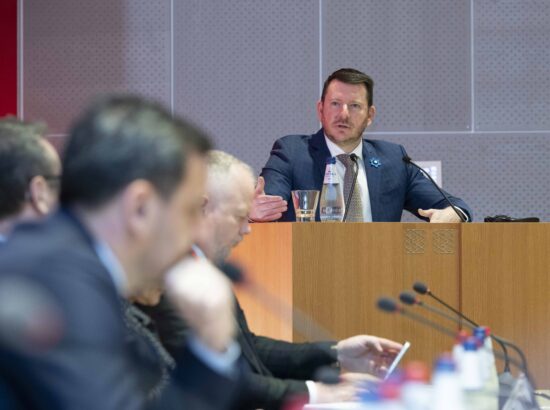 NATO Parlamentaarse Assamblee julgeolekuga seotud alamkomiteede liikmete visiit