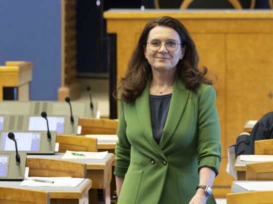 Finantsinspektsiooni esimehe Kerstin Pildi ettekanne