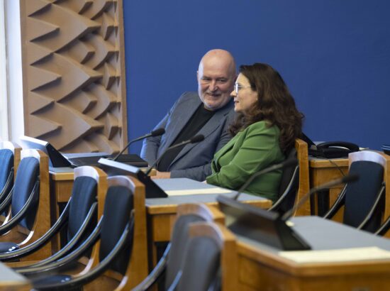 Finantsinspektsiooni esimehe Kerstin Pildi ettekanne
