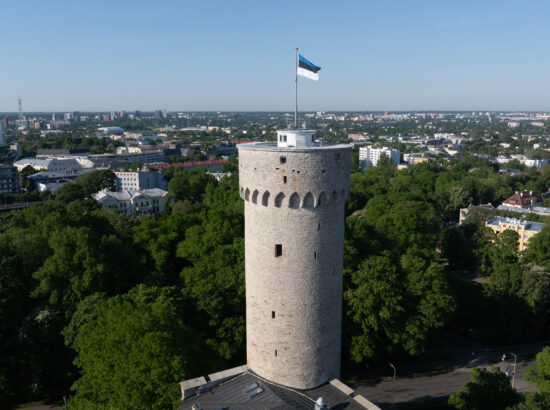Eesti lipu 142. aastapäeva tähistamine ja pidulik lipuheiskamistseremoonia.