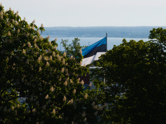 Eesti lipu 142. aastapäeva tähistamine ja pidulik lipuheiskamistseremoonia.