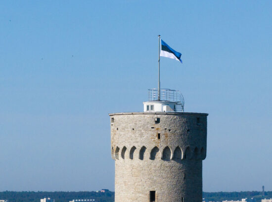 Eesti lipu 142. aastapäeva tähistamine ja pidulik lipuheiskamistseremoonia.