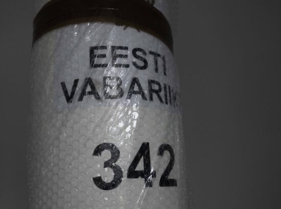 Väliskomisjoni väljasõit Narva ja Kagu-Eestisse
