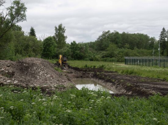 Väliskomisjoni väljasõit Narva ja Kagu-Eestisse