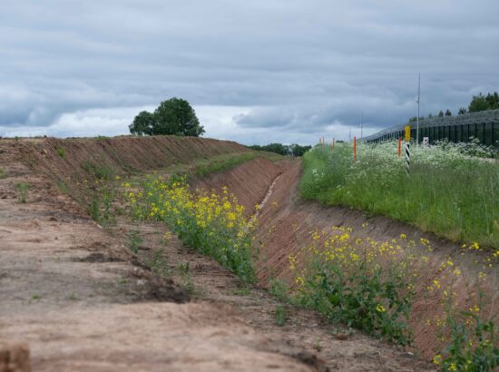 Väliskomisjoni väljasõit Narva ja Kagu-Eestisse